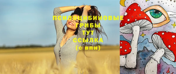 apvp Волоколамск