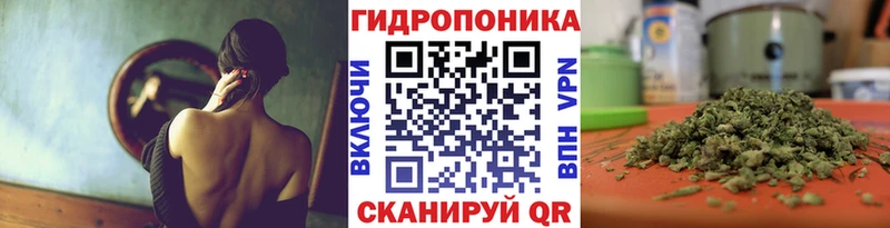 OMG как войти  Невель  Бошки Шишки семена 
